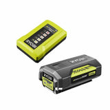 Battery charger Ryobi 36 V-1