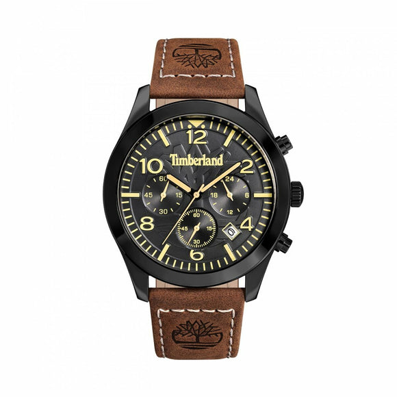 Men's Watch Timberland TDWGC0068802-0