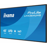 Monitor Iiyama LH4364UHS-B1AG 43" 4K Ultra HD-10