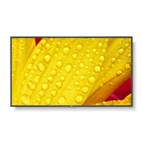 Monitor NEC 60006084 50