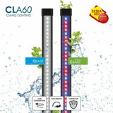 Aquarium Ciano-4