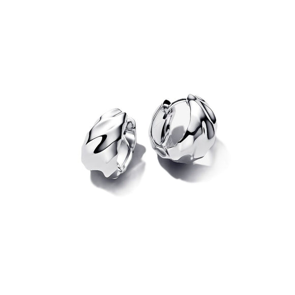 Ladies' Earrings Pandora 293874C00 Silver-0
