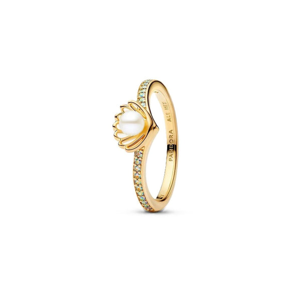 Ladies' Ring Pandora 163654C01-52 Golden-0