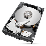 Hard Drive Seagate ST2000NT001 3,5" 2 TB 2 TB SSD 2 TB HDD-0