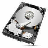 Hard Drive Seagate IronWolf Pro ST2000NT001 3,5" 2 TB-2