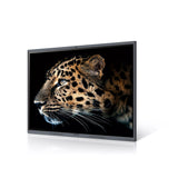 Interactive Touch Screen Maxhub C7530 4K Ultra HD 75" 60 Hz-2