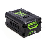 Rechargeable lithium battery Greenworks G60B5 5 Ah 60 V-4