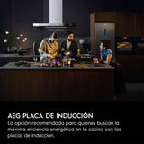 Induction Hot Plate AEG TN63IP0BFB-4