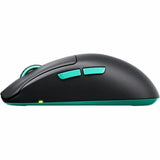Wireless Mouse Cherry-1