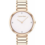 Ladies' Watch Calvin Klein-0