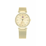 Ladies' Watch Tommy Hilfiger 1782507 (Ø 32 mm)-0
