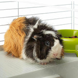 Cage Ferplast Plastic Metal/Plastic-15