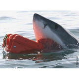 Tool Case GT Line EXPLORER 7630 86 x 56 x 33 cm Metal polypropylene 59 L-1