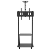 Adjustable support Techly ICA-TR33 32" 70"-2