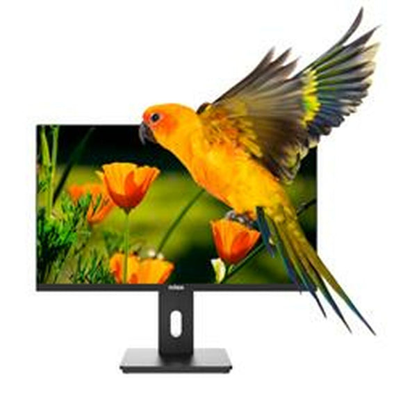 Monitor Nilox NXM24REG02 Full HD 24