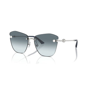 Ladies' Sunglasses Jimmy Choo JC 4004HB-0