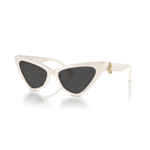 Ladies' Sunglasses Jimmy Choo JC 5008-0