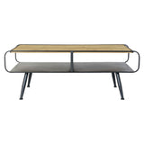 Centre Table DKD Home Decor Metal Fir (120 x 60 x 45 cm)-2