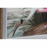 Painting DKD Home Decor 60 x 2,5 x 60 cm Bird Oriental (4 Pieces)-2