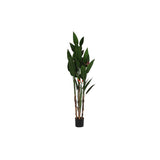 Decorative Plant DKD Home Decor (90 x 90 x 200 cm)-0