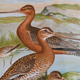 Painting DKD Home Decor Crystal MDF Wood 40 x 50 x 1,8 cm 40 x 1,8 x 50 cm-1