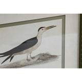 Painting Home ESPRIT Birds Cottage 40 x 2,5 x 54 cm (6 Units)-2