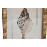 Painting Home ESPRIT Mediterranean Snail 30 x 2,5 x 40 cm (9Units)-2