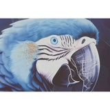 Painting Home ESPRIT Blue Black Golden Parrot Tropical 83 x 4 x 123 cm (2 Units)-2