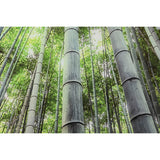 Painting Home ESPRIT Tempered Glass 150 x 0,4 x 100 cm-3