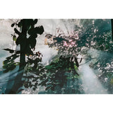 Painting Home ESPRIT Tempered Glass 150 x 0,4 x 100 cm-3