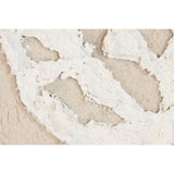Canvas Home ESPRIT White Beige Leaf of a plant Cottage 62,5 X 3,5 X 62,5 CM (2 Units)-2