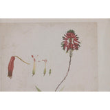 Painting Home ESPRIT Crystal Fir 30 x 2 x 40 cm (6 Units)-2