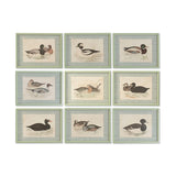 Painting Home ESPRIT Green Cottage (9Units)-0