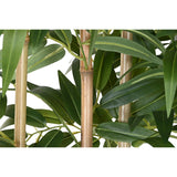Decorative Plant Home ESPRIT Wood Bamboo Polyethylene Oriental-2