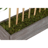 Decorative Plant Home ESPRIT Wood Bamboo Polyethylene Oriental-1