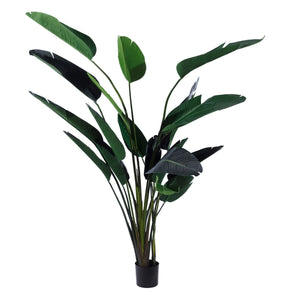 Decorative Plant Polyethylene Iron Cement Bird of paradise 245 cm 120 x 120 x 245 cm-0