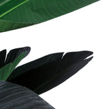 Decorative Plant Polyethylene Iron Cement Bird of paradise 245 cm 120 x 120 x 245 cm-2