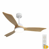 Ceiling Fan with Light EDM 33819 Báltico 20 W 2190 Lm-8