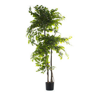 Decorative Plant Alexandra House Living Plastic Fig Tree 18 x 22 x 162 cm-0