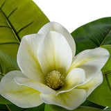 Decorative Plant Alexandra House Living Plastic Magnolia 130 cm-3