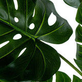 Decorative Plant Alexandra House Living Plastic Monstera 170 cm-3