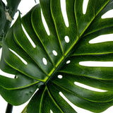 Decorative Plant Alexandra House Living Plastic Monstera 170 cm-2