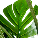 Decorative Plant Alexandra House Living Plastic Monstera 170 cm-1