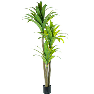 Decorative Plant Alexandra House Living Plastic Dracaena 180 cm-0