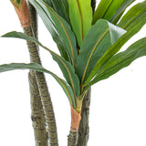 Decorative Plant Alexandra House Living Plastic Dracaena 160 cm-1