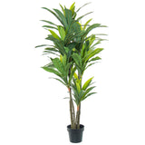 Decorative Plant Alexandra House Living Plastic Dracaena 160 cm-0