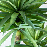 Decorative Plant Alexandra House Living Plastic Yucca 120 cm-1