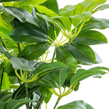 Decorative Plant Alexandra House Living Plastic Schefflera 155 cm-6