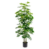 Decorative Plant Alexandra House Living Plastic Schefflera 155 cm-0