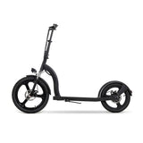 Electric Scooter Youin YOUIN SCOOTER ELECTRIC 2XL Black 350 W-7